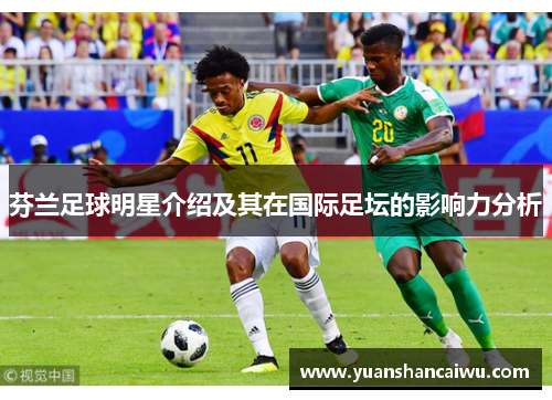 芬兰足球明星介绍及其在国际足坛的影响力分析
