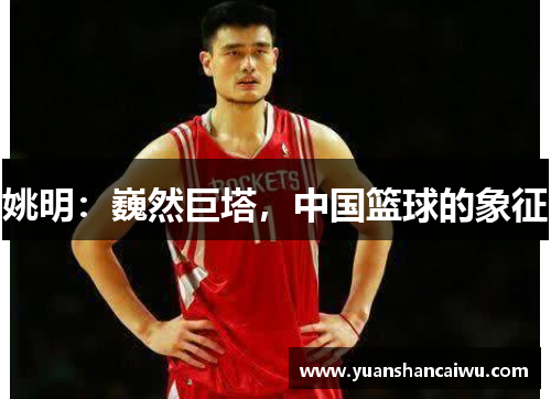 姚明：巍然巨塔，中国篮球的象征